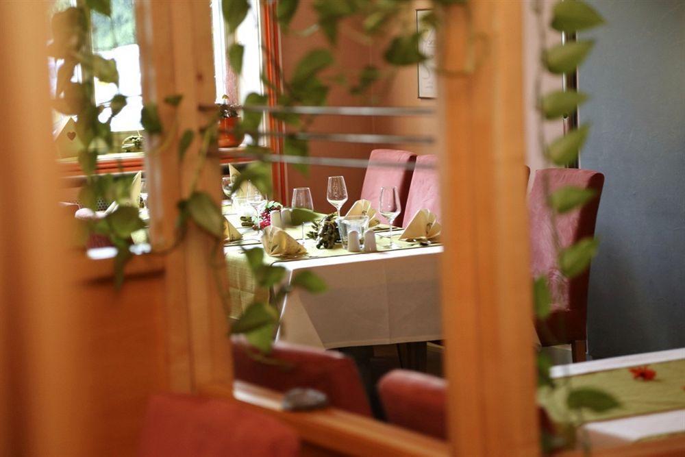 Muehlenthalers Park Hotel Конц Екстериор снимка