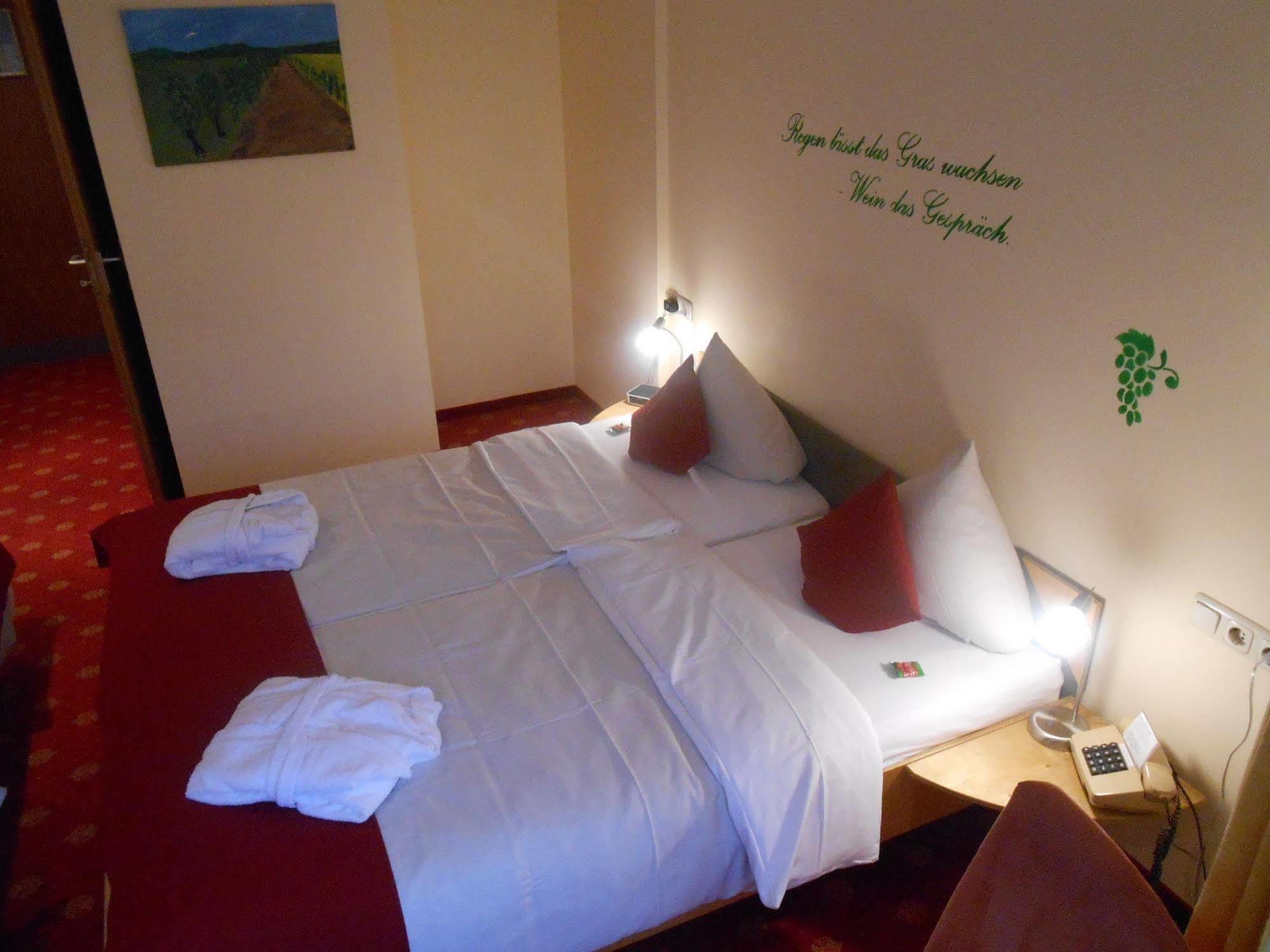 Muehlenthalers Park Hotel Конц Екстериор снимка