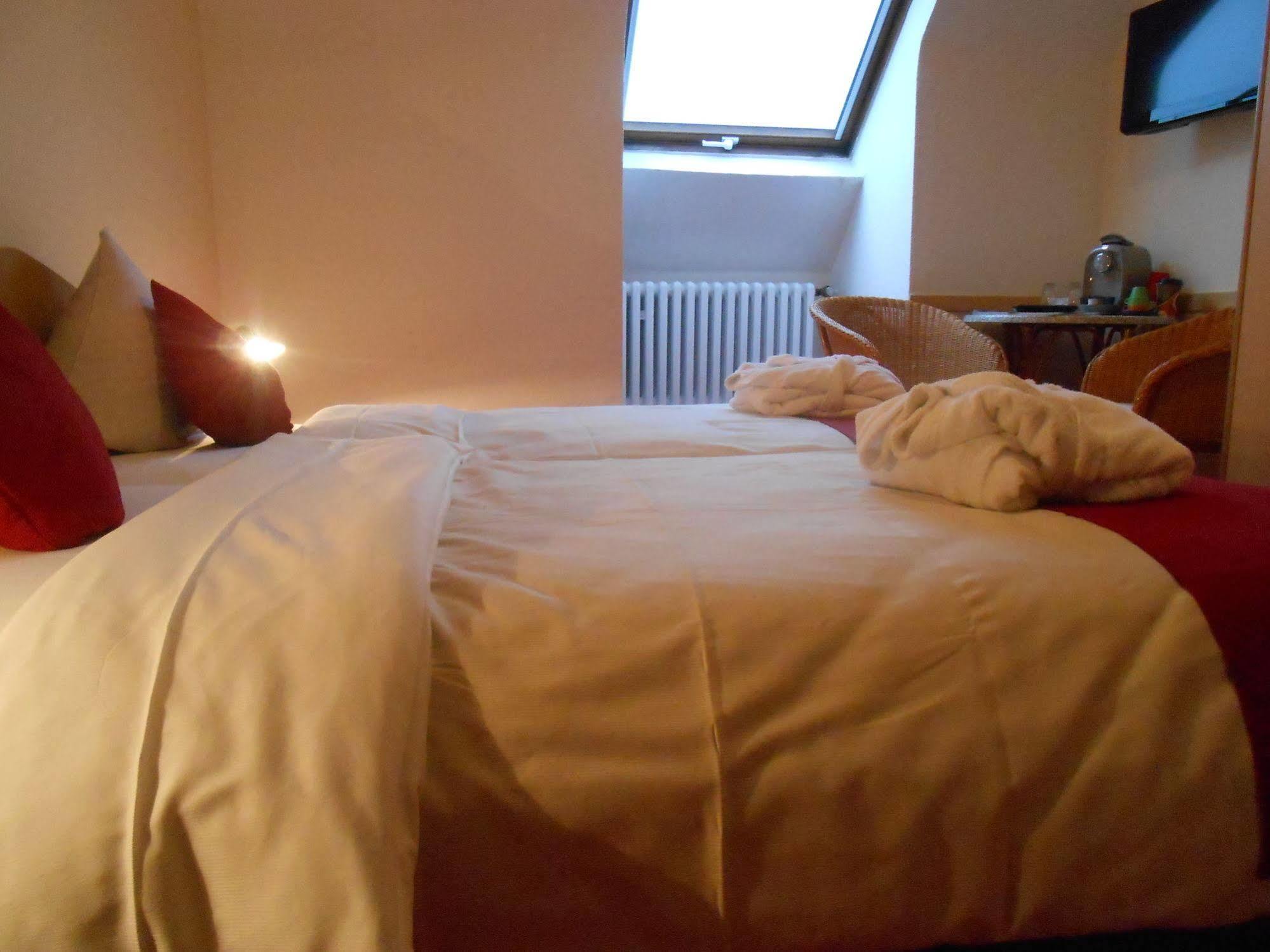 Muehlenthalers Park Hotel Конц Екстериор снимка